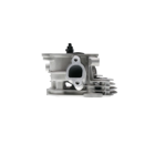 Hlava valcov pre motory Honda GX160 GX200 Zongshen 168FB (OEM 100002382)