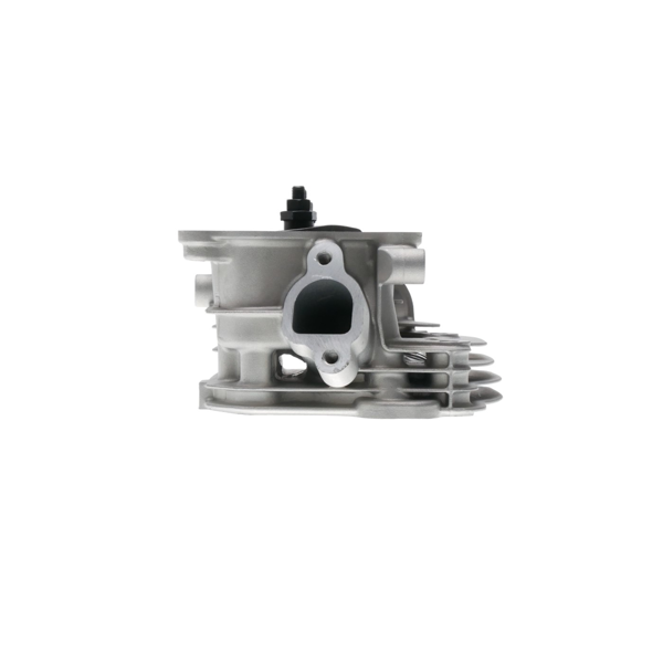 Hlava valcov pre motory Honda GX160 GX200 Zongshen 168FB (OEM 100002382)