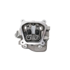 Hlava valcov pre motory Honda GX160 GX200 Zongshen 168FB (OEM 100002382)