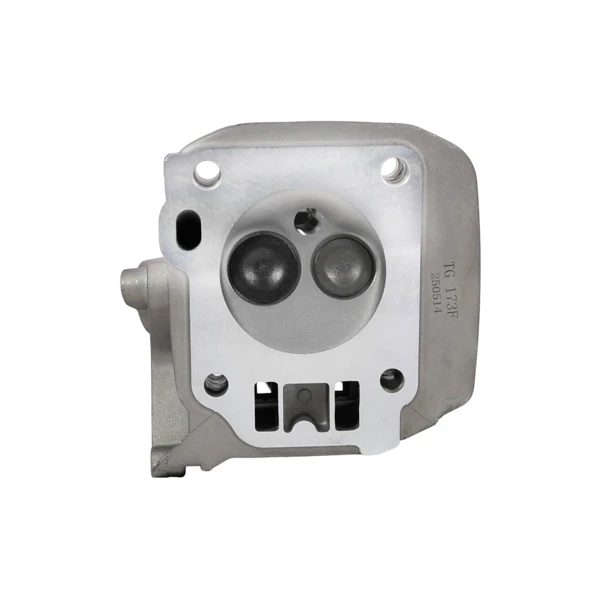 Hlava valcov pre motory Honda GX240 GX270 Zongshen 177F (OEM 100002398)