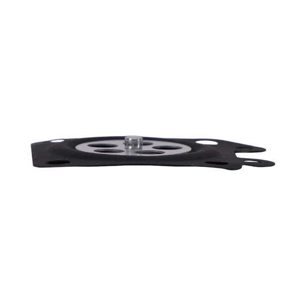 HS Parts opravárenská sada membrán Walbro (OEM K20WYJ)