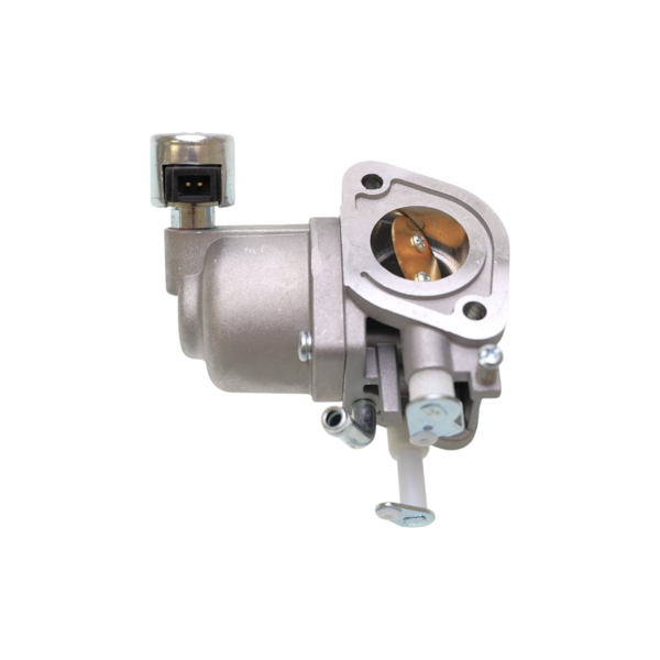 Karburátor pre motory Briggs & Stratton (OEM 591678 589669822)