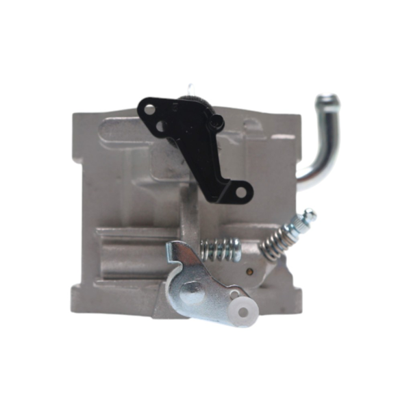 Karburátor pre motory Briggs & Stratton (OEM 796587 591736 594601)