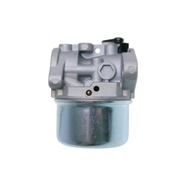 Karburátor pre motory Briggs & Stratton (OEM 799868 14111 497586 498170 498254 497314 497347 694202 693909 692648 799872 790821 498255)
