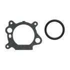 Karburátor pre motory Briggs & Stratton (OEM 799868 14111 497586 498170 498254 497314 497347 694202 693909 692648 799872 790821 498255)