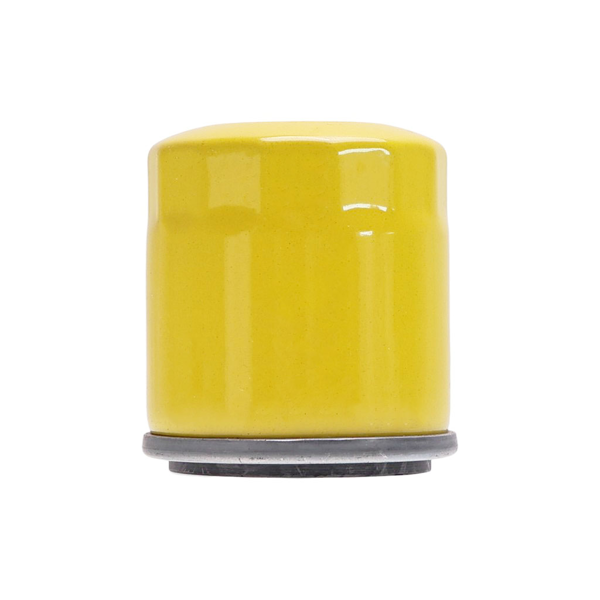 Olejový filter pre motory Briggs & Stratton 800E 850EX 875EX (OEM 795990)