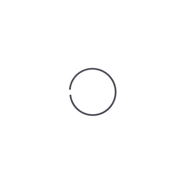 Piestny krúžok 48 mm x 1,2 mm