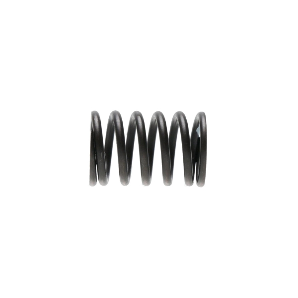 Pružina ventilu pre motory Zongshen XP420 originálny diel (OEM 100004569)
