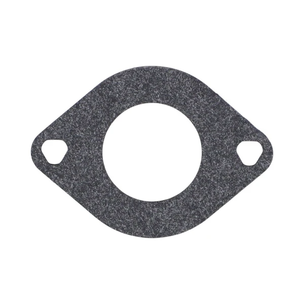 Súprava na opravu karburátora pre motory Briggs & Stratton 11,0 PS - 19,0 PS (OEM 796184 698787 699900 699521 792369)