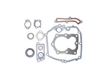 Súprava tesnení pre motory Briggs & Stratton Quantum výkon 5,0 PS (OEM 493263)