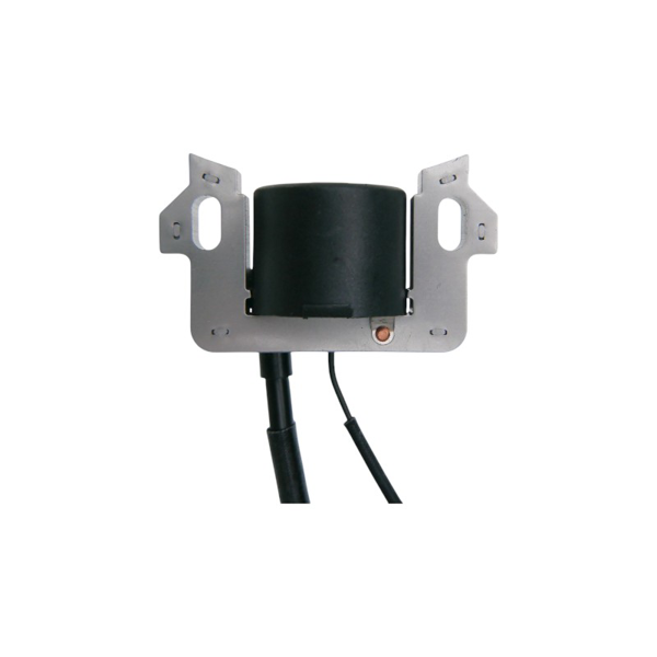 Zapaľovanie pre motory Zongshen XP200 6,5 PS (OEM 100009261)