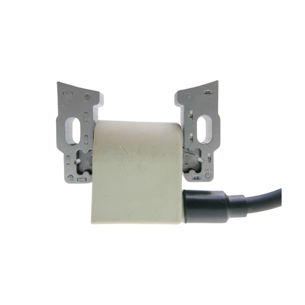 Zapaľovanie pre motory Zongshen XP680 22,0 PS 100009358 (OEM 493880 66538)